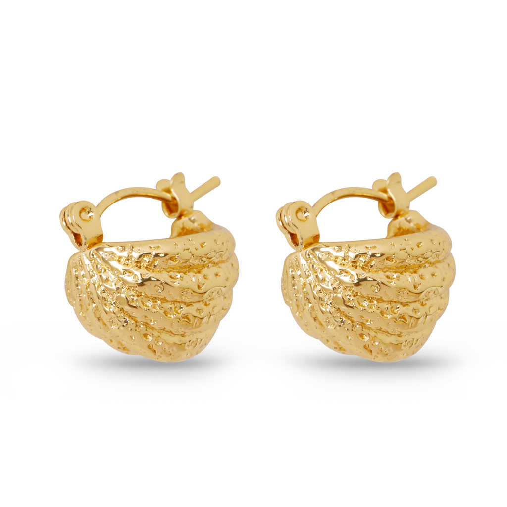 Anandi anti tarnish hoop earrings